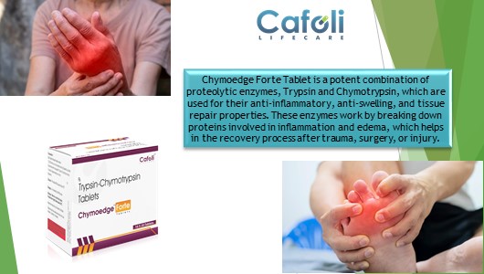 Chymoedge Forte Tablet at the best price in Gastroenterology pharma Franchise